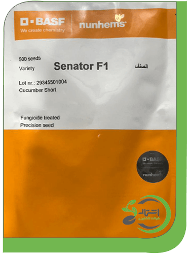 سناتور
